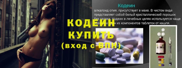 бошки Иннополис