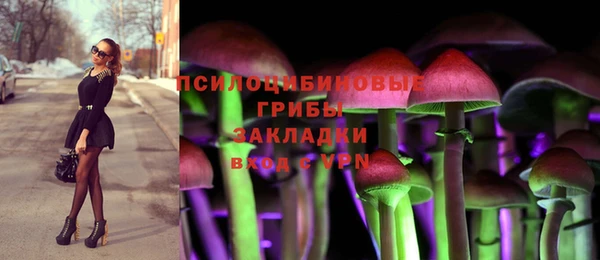 круглые Алексеевка