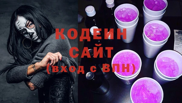 твердый Инсар
