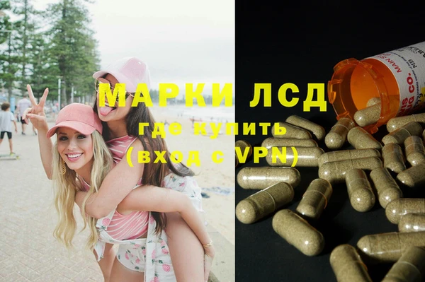 мяу мяу мука Алзамай