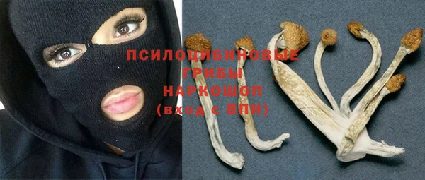 амф Алексин