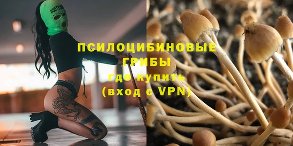 мяу мяу мука Алзамай