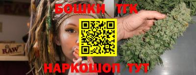 индика Обнинск