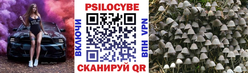 Псилоцибиновые грибы прущие грибы  Тверь 