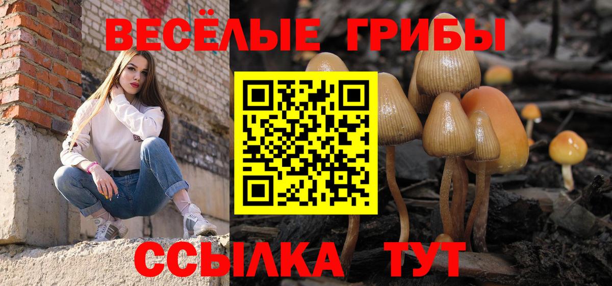 закладки  Псилоцибиновые грибы ЛСД  Псилоцибиновые грибы Psilocybe  Вход с VPN  Тверь 